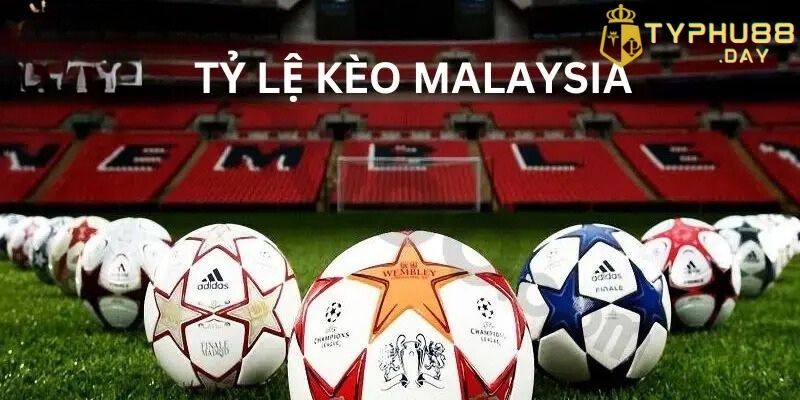 Tìm hiểu tỷ lệ kèo Malaysia là gì?